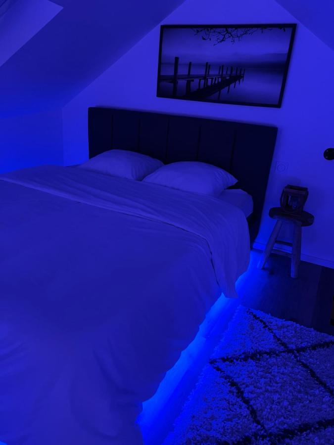 Loft Ravissant Avec Parking Gratuit Leilighet Colmar Eksteriør bilde