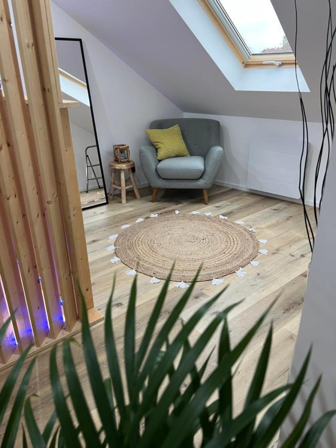 Loft Ravissant Avec Parking Gratuit Leilighet Colmar Eksteriør bilde